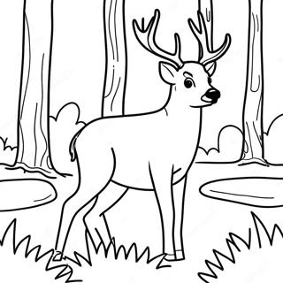 Buck Realistic Deer Coloring Pages