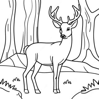 Realistic Buck Deer In Forest Coloring Page 26574-21004