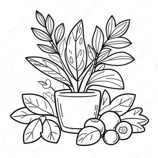 Herb Coloring Pages