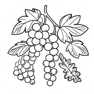 Vine Coloring Pages