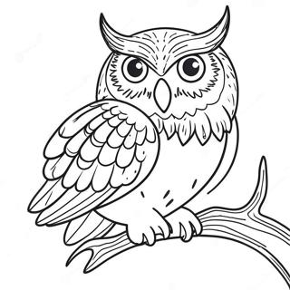 Finished Owl Coloring Pages