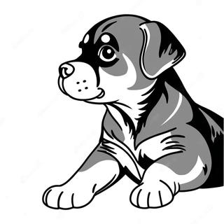 Playful Rottweiler Puppy Coloring Page 30765-24333