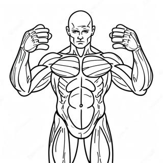 Human Muscles Coloring Pages