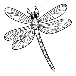 Dragonfly Coloring Page 3170-2525