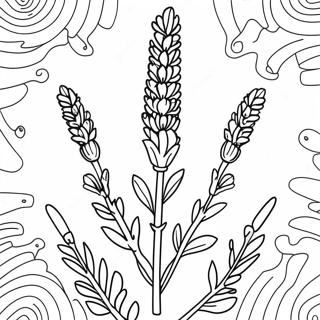 Lavender Coloring Pages