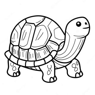 Tortoise Coloring Pages