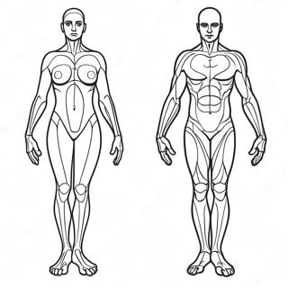 Body Outline Coloring Pages