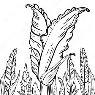 Cornstalk Coloring Page 34293-27110