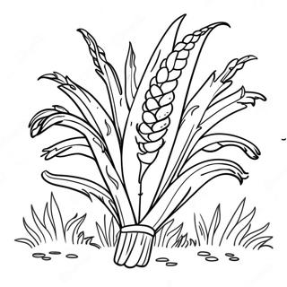 Cornstalk Coloring Page 34293-27111