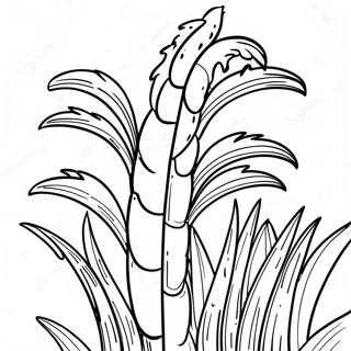 Tall Green Cornstalk Coloring Page 34294-27117