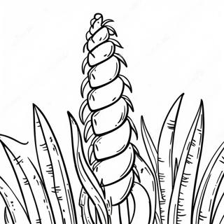 Tall Green Cornstalk Coloring Page 34294-27118