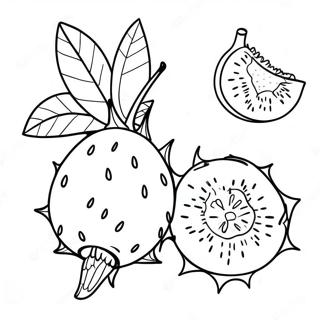 Dragon Fruit Coloring Pages