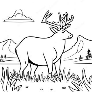 Montana Wildlife Coloring Page 34474-27258