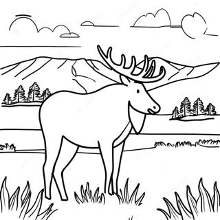 Montana Wildlife Coloring Page 34474-27259