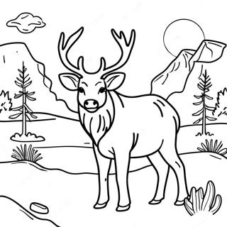 Montana Wildlife Coloring Page 34474-27260