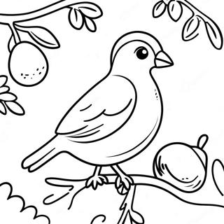 Festive Partridge In A Pear Tree Coloring Page 34844-27554