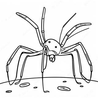 Daddy Long Legs Coloring Pages