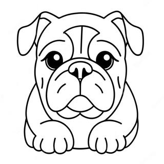 Bulldog Coloring Page 3570-2837