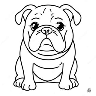 Bulldog Kleurplaat 3570-2839