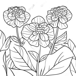 Hydrangea Coloring Pages