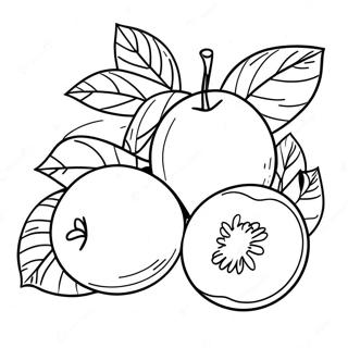 Beautiful Georgia Peach Coloring Page 36234-28658