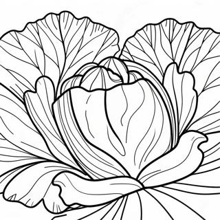 Lettuce Coloring Pages