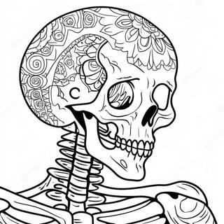 Detailed Human Skeleton Coloring Page 37094-29323