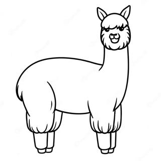 Alpaca Coloring Pages