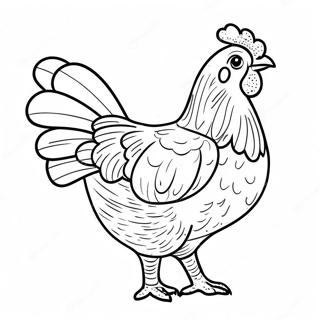 Chicken For Adults Coloring Pages