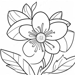 Orange Blossom Coloring Pages