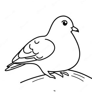 The Pigeon Coloring Pages