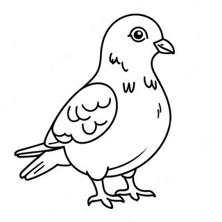 Pigeon Coloring Page 38633-30554