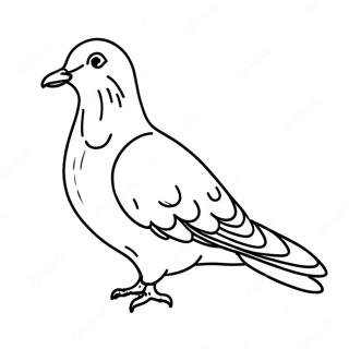 Pigeon Coloring Page 38633-30555