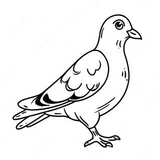 Pigeon Coloring Page 38633-30556