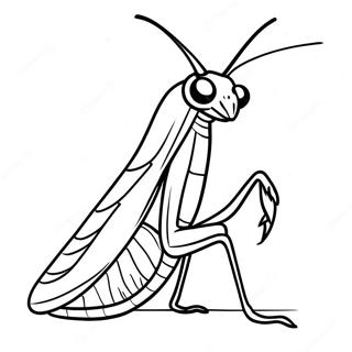 Praying Mantis Coloring Page 38653-30564