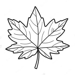 Canada Maple Leaf Coloring Page 39093-30923