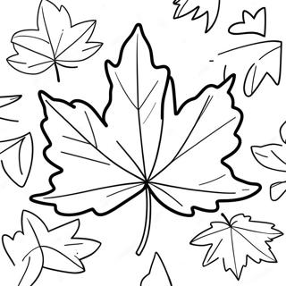 Maple Leaf Coloring Pages