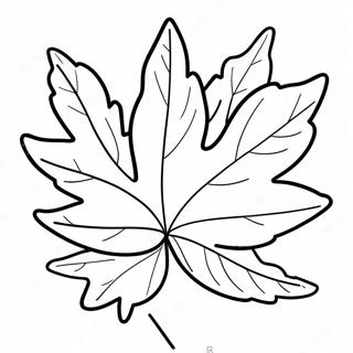 Maple Leaf Coloring Page 39383-31146