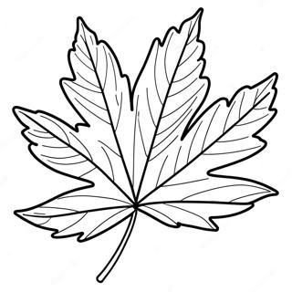 Maple Leaf Coloring Page 39383-31147