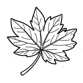 Maple Leaf Coloring Page 39383-31148