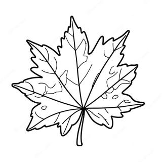 Autumn Maple Leaf Coloring Page 39384-31135