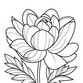 Peony Flower Coloring Page 39473-31211