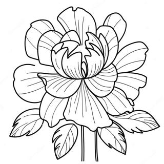 Peony Flower Coloring Page 39473-31212