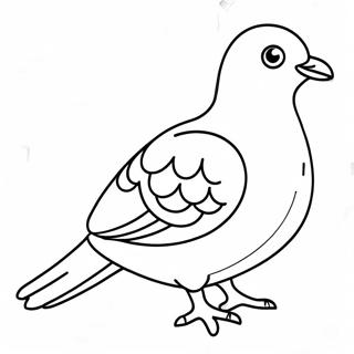 Pigeon Coloring Pages