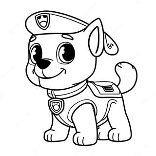 Paw Patrol Zuma Boyama Sayfaları