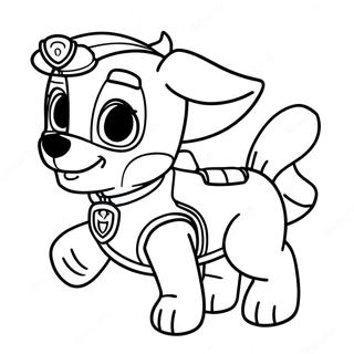 Paw Patrol Zuma Boyama Sayfası 40023-31639