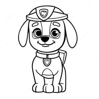 Paw Patrol Zuma Boyama Sayfası 40023-31640