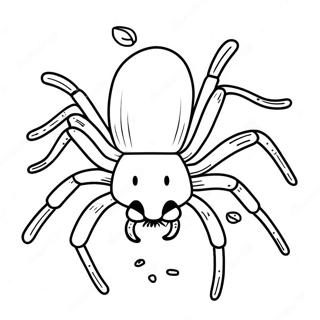 Tarantula Coloring Page 40103-31695