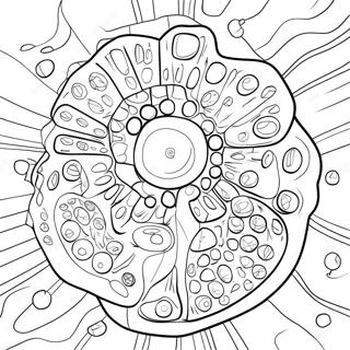 Cell Structure Coloring Page 40203-31797