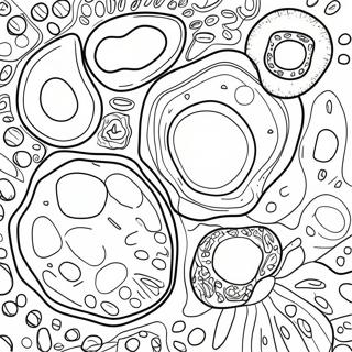 Plant Cell With Colorful Organelles Coloring Page 40204-31784